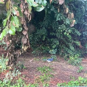 Meet your Posher, Karla